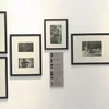 Museum honours traditional trade of photography