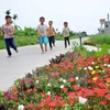 Flowers blossom along countryside roads in Nam Dinh