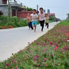 Flowers brighten up countryside street