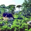 Stunning French-styled villas in Da Lat’s pine forest