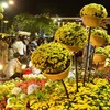 HCM City’s flower street ready for Tet