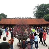 Visitors flock to Van Mieu - Quoc Tu Giam on Tet holiday