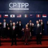 CP TPP expected to boost Vietnam-Chile economic ties