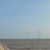 Wind farm – emerging tourist attraction in Bac Lieu