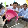 Vietnam, China release young fish into Tonkin Gulf