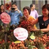 Thanh Ha litchi festival opens in Hai Duong