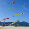Colourful kite festival held in Da Nang
