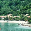 Bai Rang beach in Da Nang - the harmony of forest and sea