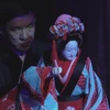 Japanese puppetry performances mark Vietnam – Japan diplomatic ties