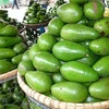 Avocado festival of M’Nong ethnic group re-enacted