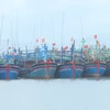 Efforts against illegal fishing