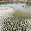Hanoi Forum focuses on climate change response