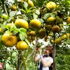 Mekong Delta - ideal travel destination