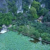 Bich Dong pagoda in lotus season