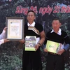 Ancient tea trees in Yen Bai receive recognition