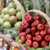 Cheaper food drives inflation down in March 
