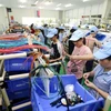 Vietnam’s economic growth has yet to reach strategic goal: expert 