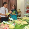 An Giang province promotes agro-fishery exports