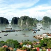 Vietnamese firms to tackle plastic pollution in Ha Long Bay