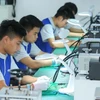 Ca Mau focuses on development of skilled workforce 
