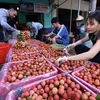 Businesses team up with Bac Giang farmers in selling lychee