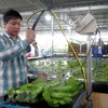 Fruit, vegetable export up 9.5 percent in four months