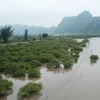 Vietnam’s biodiversity declines at different levels