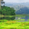 Dong Nai Biosphere Reserve – “green lung” of Southeastern region 