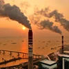 Vietnam takes steps towards carbon credit market
