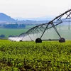 TH True MILK produces hi-tech miracles on land with severe weather