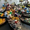 Master plan targets long-term prosperity for Mekong Delta 