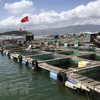 Vietnam issues national plan on aquaculture development for 2021-2030