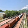 Vietnam – Russia rail transport on track for new era