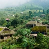 Unique mossy roofs on Tay Con Linh range