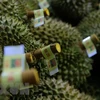 More should be done to boost durian export: Insiders