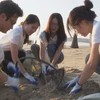 Miss Sea Island Vietnam 2022 contestants join hands to protect environment
