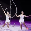 Vietnam wins gold at International Circus Festival