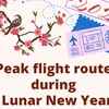Peak flight routes during Lunar New Year