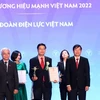 EVN ranked in Top 10 strong brands of Vietnam in 2022