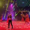 Vietnamese circus – 100-year pride of traditional culture 