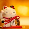 Character traits of people born in the Year of the Cat