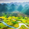 Over 1.2 million hectares of land remain unused in Vietnam