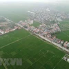 Hanoi strives to complete new-style rural building by 2025