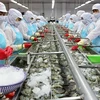 Ample room remains for food processing industry’s development