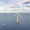 Offshore wind power fundamental to green transition goals: Official