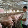 Building safe animal husbandry zones generates export opportunities