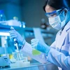 Vietnam looks to apply biotechnology for sustainable development