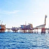 Vietnam looks to int’l cooperation to advance oil and gas industry