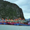 Quang Ninh works hard on fighting IUU fishing