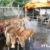 Vietnam proactive in preventing animal disease spread